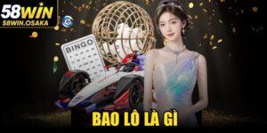 Bao Lô Là Gì