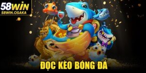 Đọc Kèo Bóng Đá